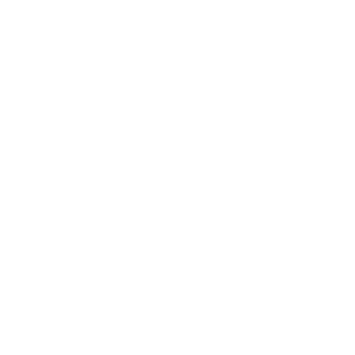 Ford.png